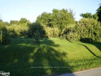309 Union Street, Meaford, On N4l 1e6