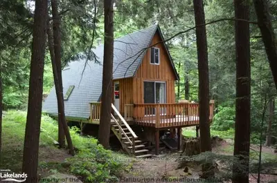 1119 South Ril Lake Road, Lake Of Bays, On P0a 1a0