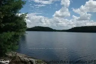 1235 Shea Road 25, Muskoka Lakes, On P0b 1p0