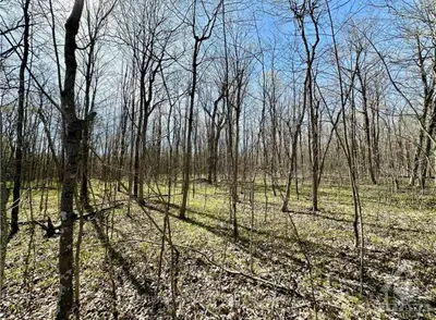Vacant Land in Elizabethtown-Kitley