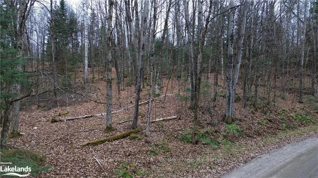 - COUMBS Road, Highlands East, ON K0L 3C0