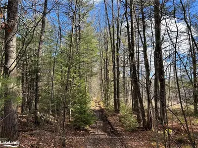 Vacant Land in Gravenhurst