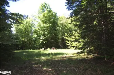 Vacant Land in Dysart et al