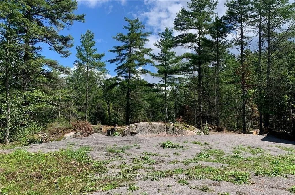 3 Fire Route 81, Trent Lakes, On, K0l 1j0