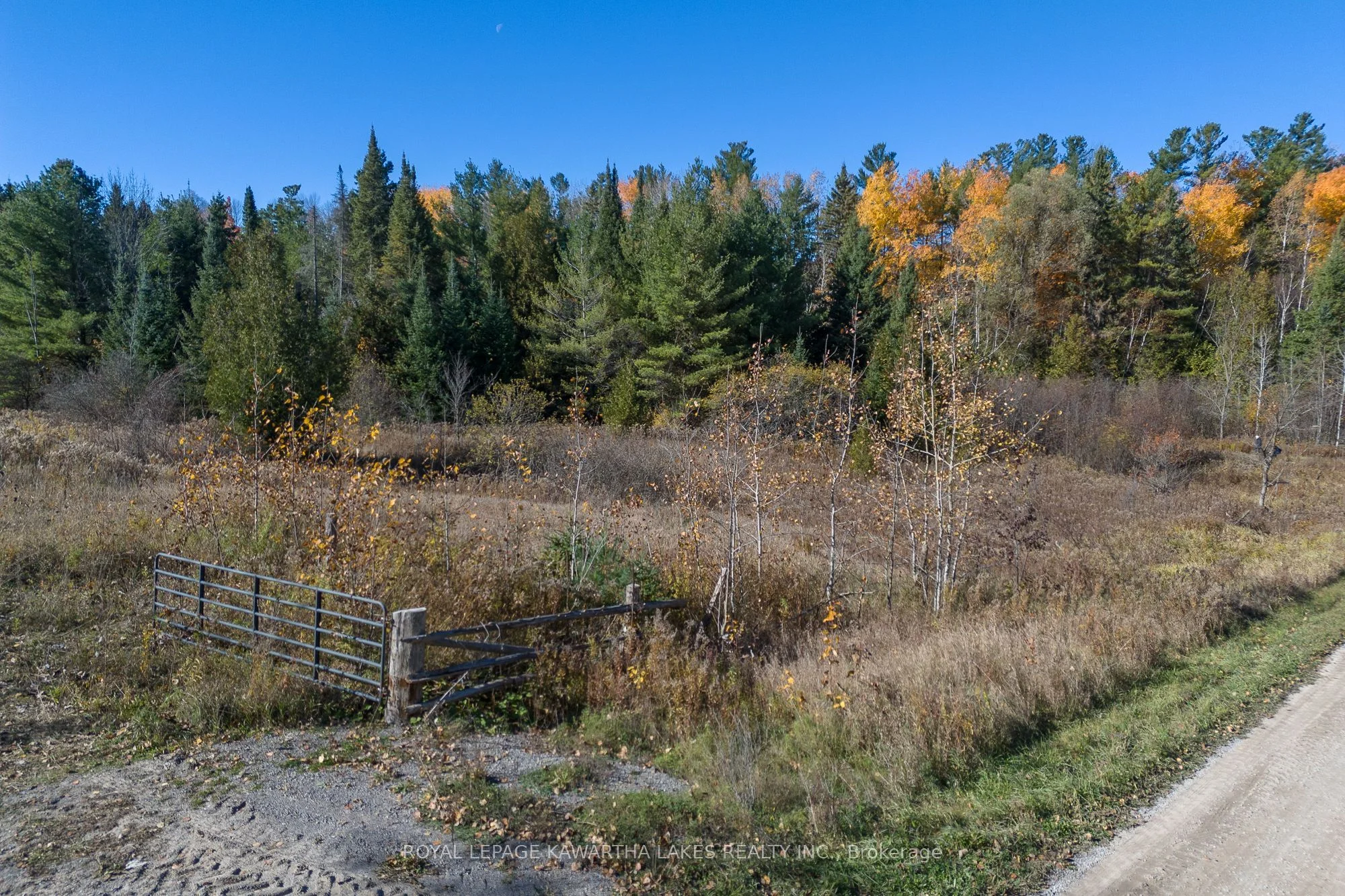 1658 Cameron Line, Otonabee-south Monaghan, On K0l 2b0