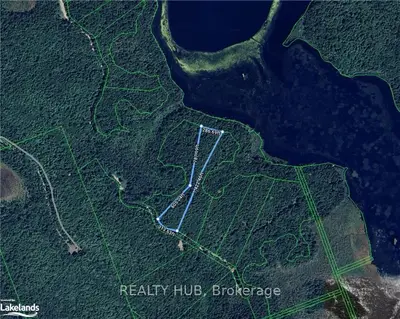 Vacant Land Condo in McMurrich/Monteith