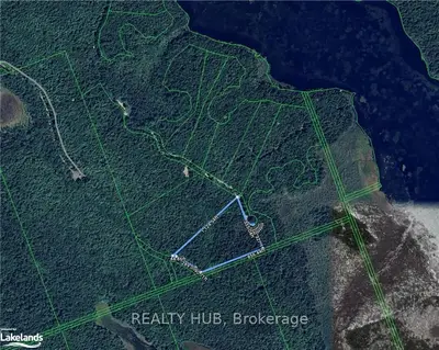 Vacant Land Condo in McMurrich/Monteith