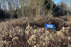 3026 Harwood Road, Hamilton Township, On K0k 1c0