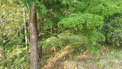Vacant Land in Costa Rica