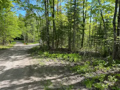 0 Sharon Lake Drive, Minden Hills, On K0m 2k0