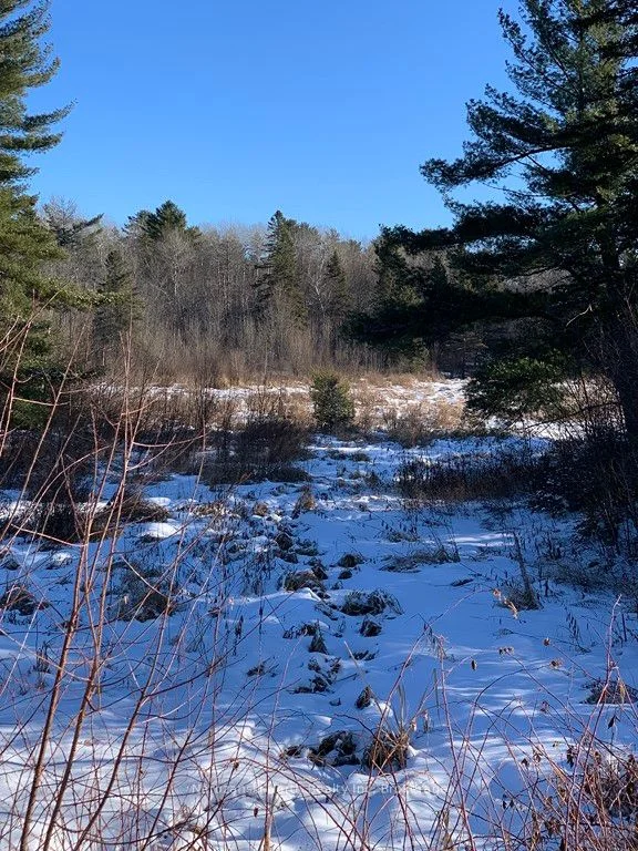 66 Trottier Road, West Nipissing, On P0h 1r0