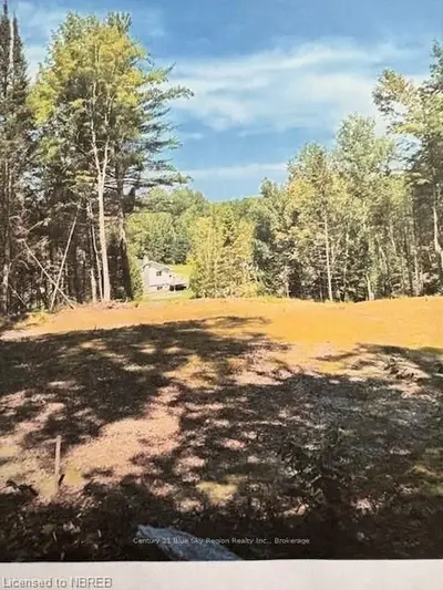 Vacant Land in Bonfield