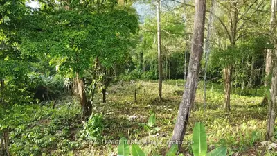Vacant Land in Costa Rica