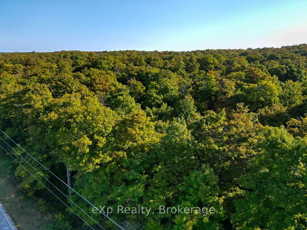 Vacant Land in Blue Mountains