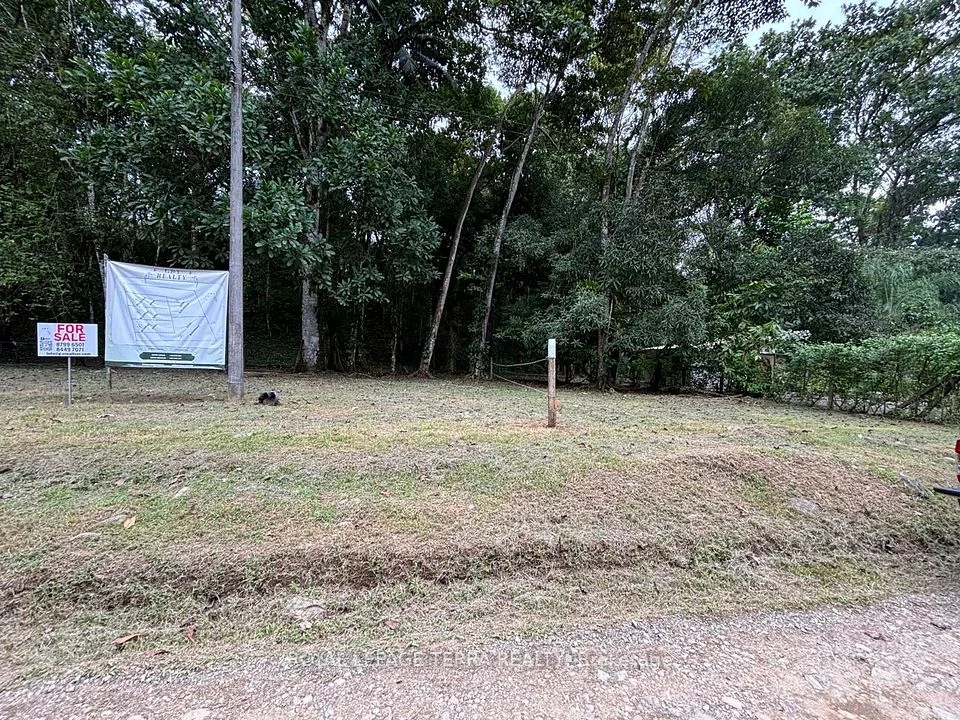 LOT 4 AVENIDA PRINCIPLE , Costa Rica 60501