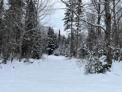 Vacant Land in Perry