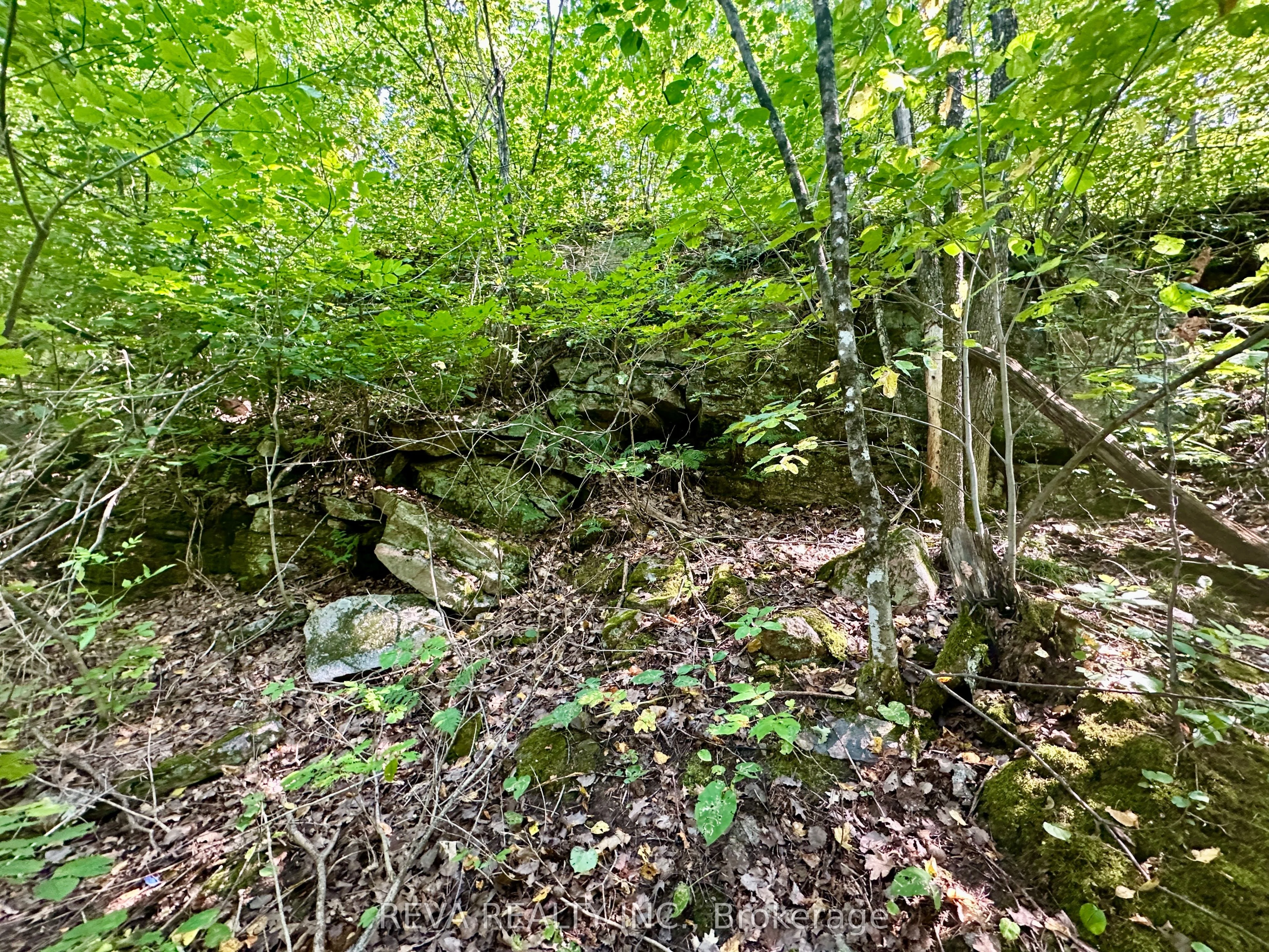 0 South Baptiste Lake Road, Hastings Highlands, On K0l 1c0
