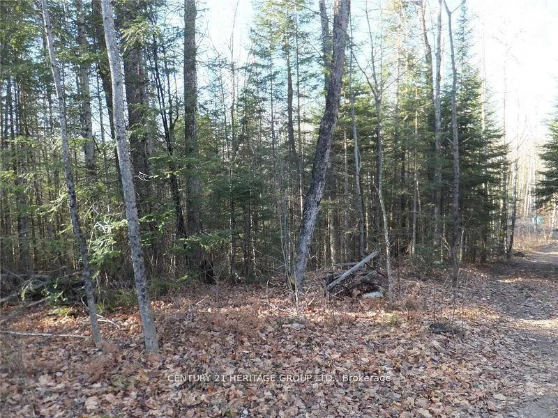 Pt Lot 13 Con 9, Highlands East, On, K0l 2y0