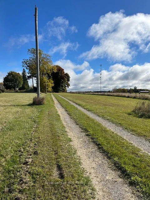 9851 Hwy 6 Rr 5 , Wellington North, ON N0G 2L0