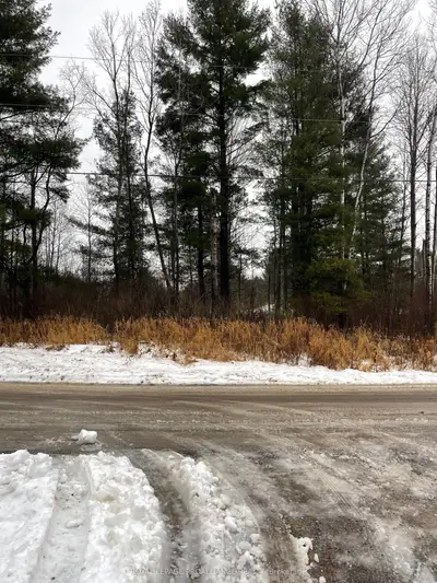 Vacant Land in Tweed
