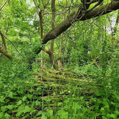 Vacant Land in Port Hope