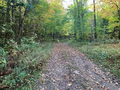 Vacant Land in Magnetawan