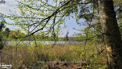 Vacant Land in Parry Sound