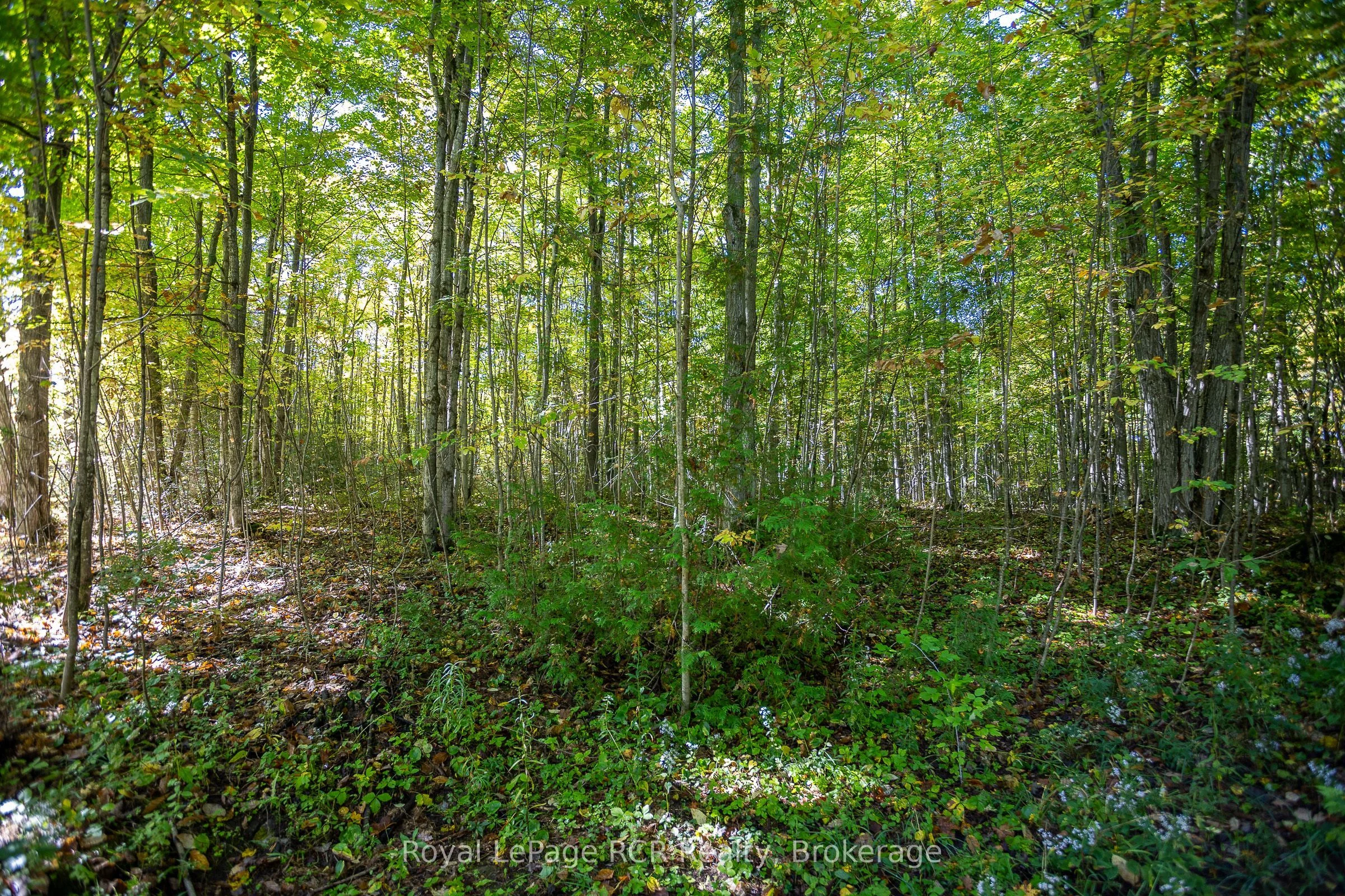 PT LT 2 HINDMAN Side Road, Georgian Bluffs, ON N0H 2K0
