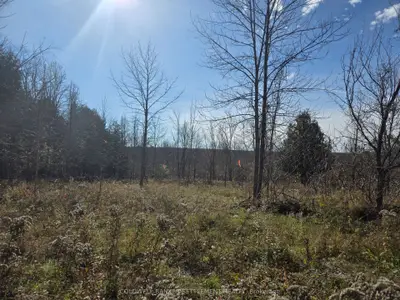 Vacant Land in Lanark Highlands
