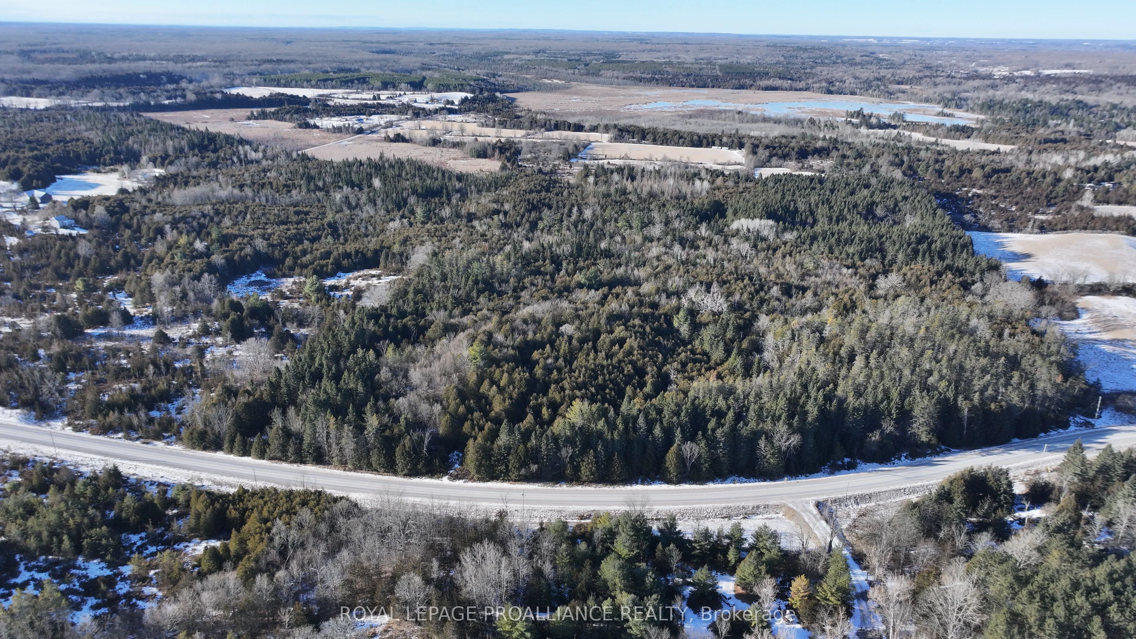 Vacant Land in Tweed