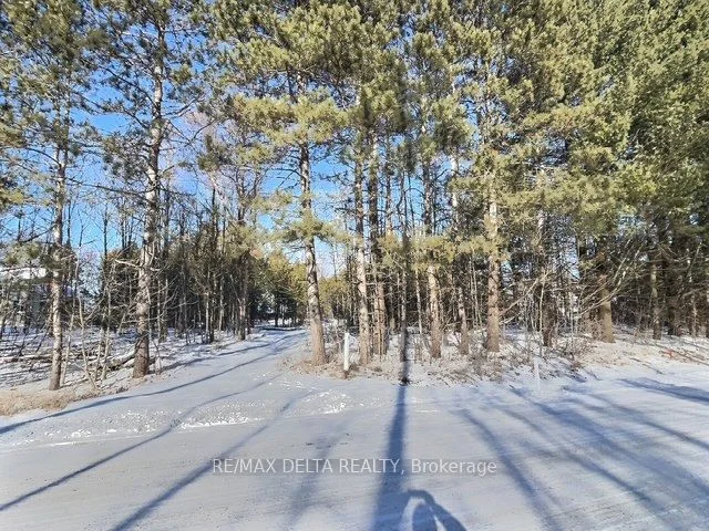 1405 St-felix Road, Clarence-rockland, On K0a 1e0