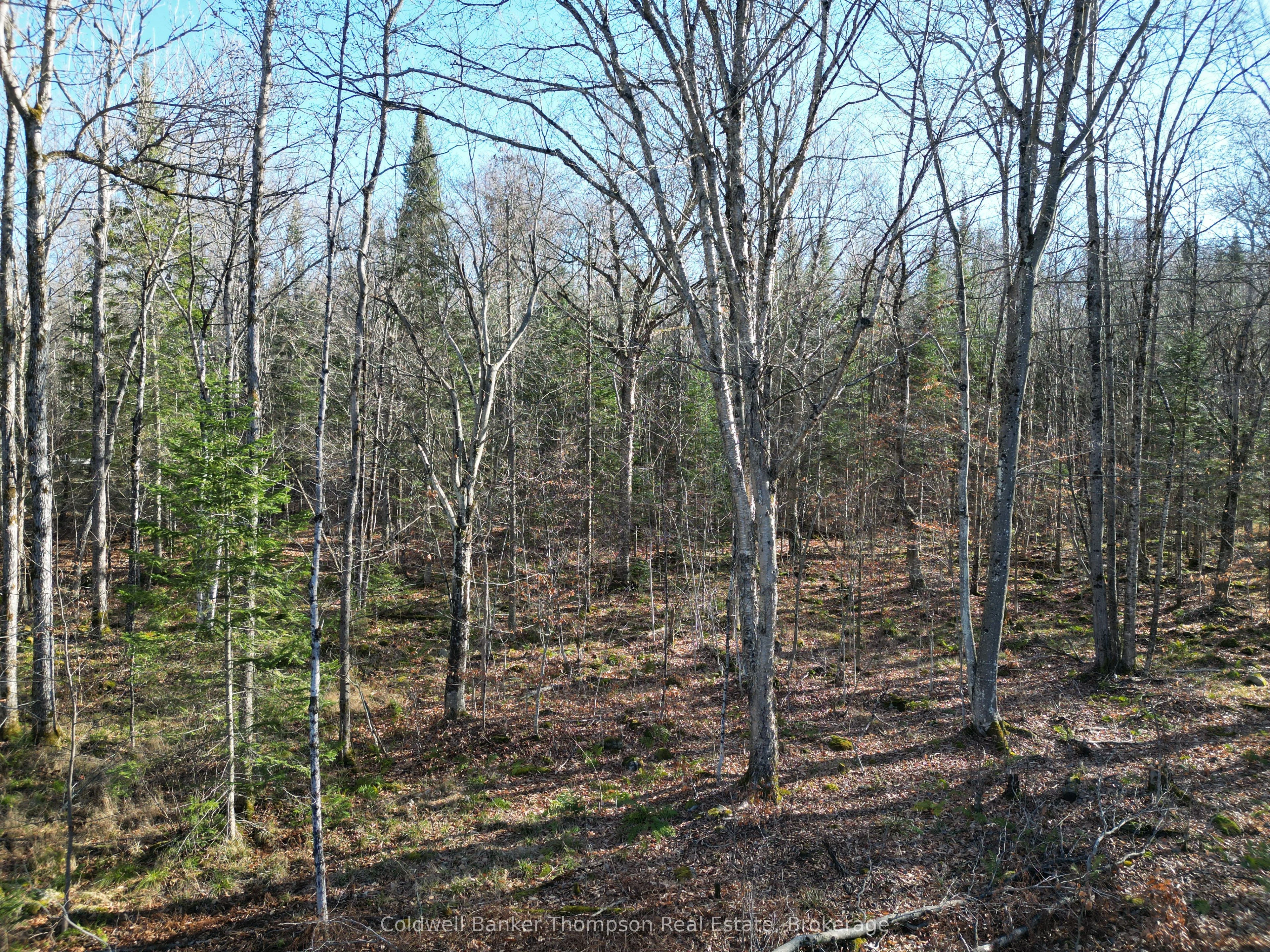 1029 Williamsport Road, Huntsville, ON P1H 2J4