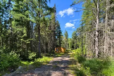 Vacant Land in McMurrich/Monteith