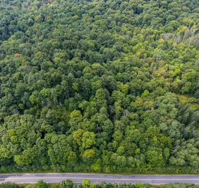 Vacant Land in Huntsville