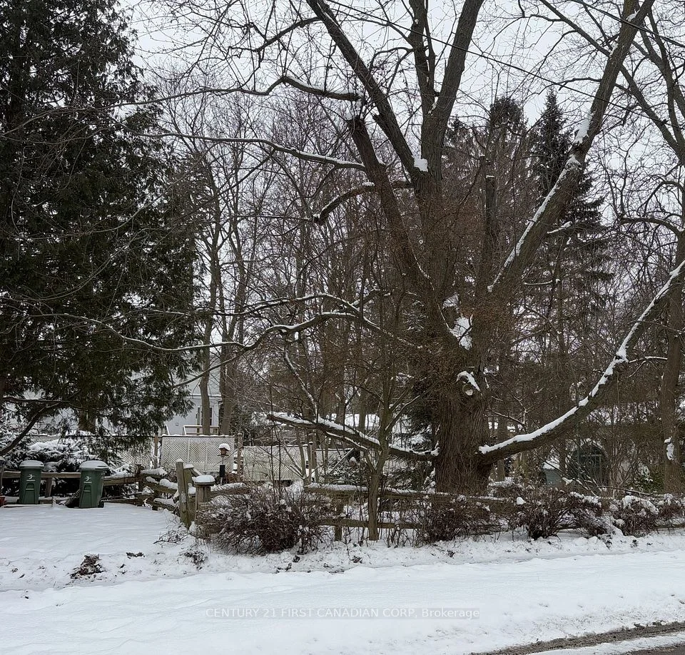 59 College Avenue W, Guelph, ON N1G 1S1