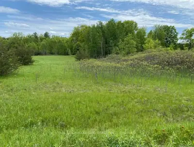 Lot 14 Trent River Road E, Trent Hills, On K0l 1z0