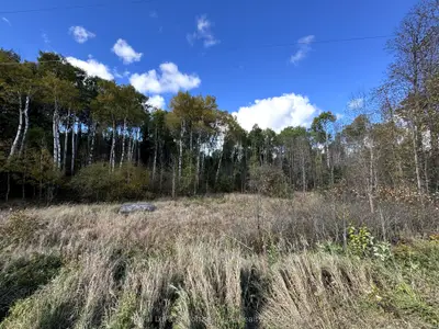 Vacant Land in Chisholm