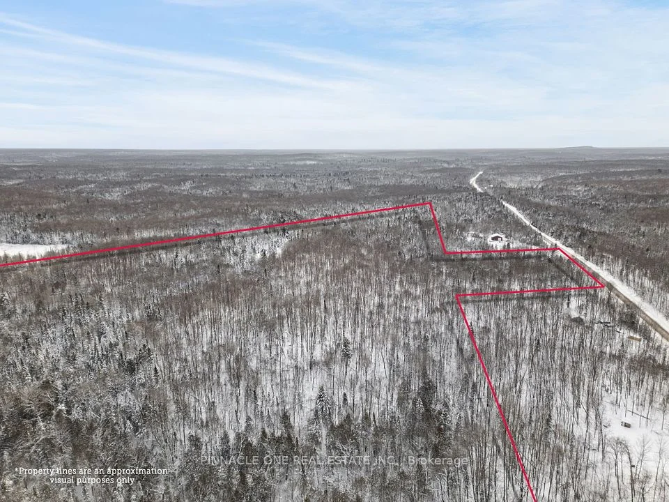 12626 County Rd 503 Road, Highlands East, ON K0L 2Y0