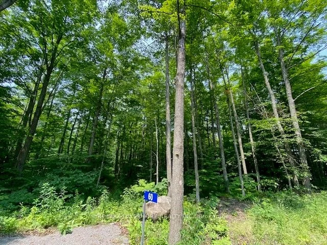 Vacant Land in Trent Hills