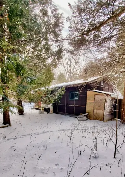 Vacant Land in Tweed