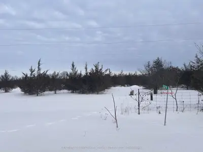 Vacant Land in Prince Edward County