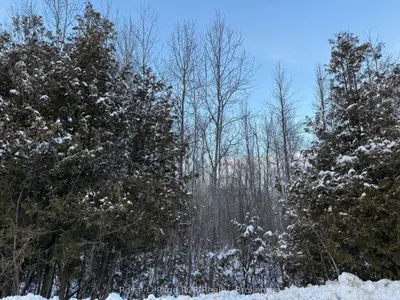 216 Country Road, South Bruce Peninsula, On N0h 1a0