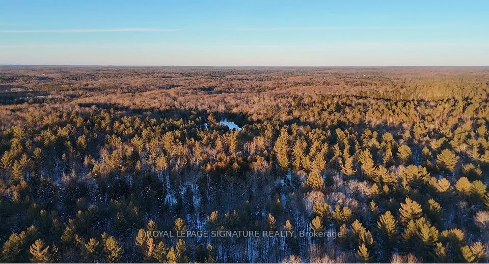 Lot 15 Con 5 Macaulay , Bracebridge, ON P1L 1E9