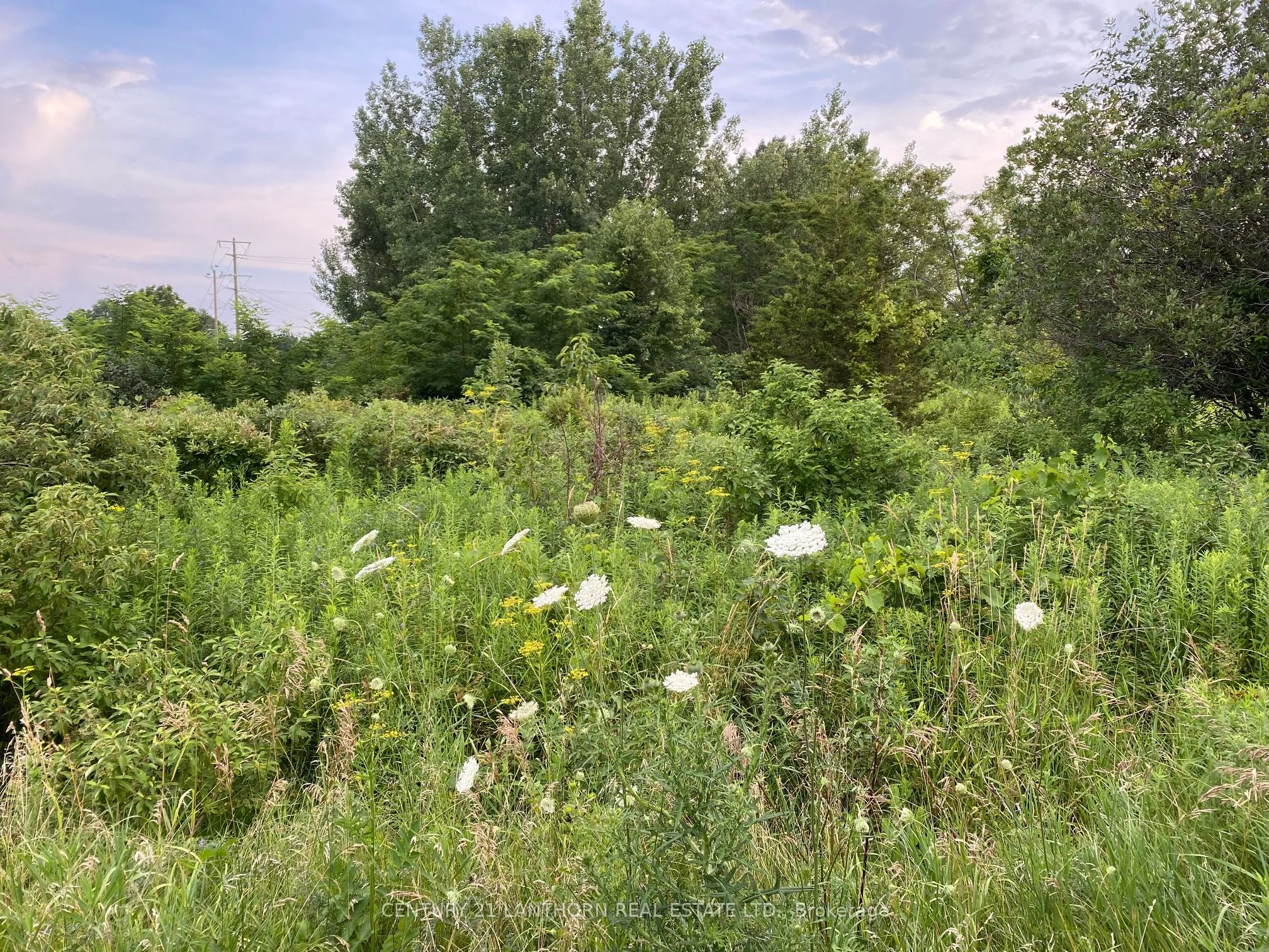Lot 29 Mcdonald Drive, Prince Edward County, On K0k 2t0