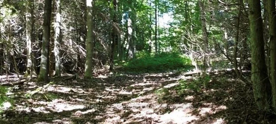 LT 11 CONCESSION 4 EBR, Northern Bruce Peninsula, ON, N0H 1W0