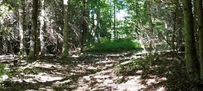 Vacant Land in Northern Bruce Peninsula
