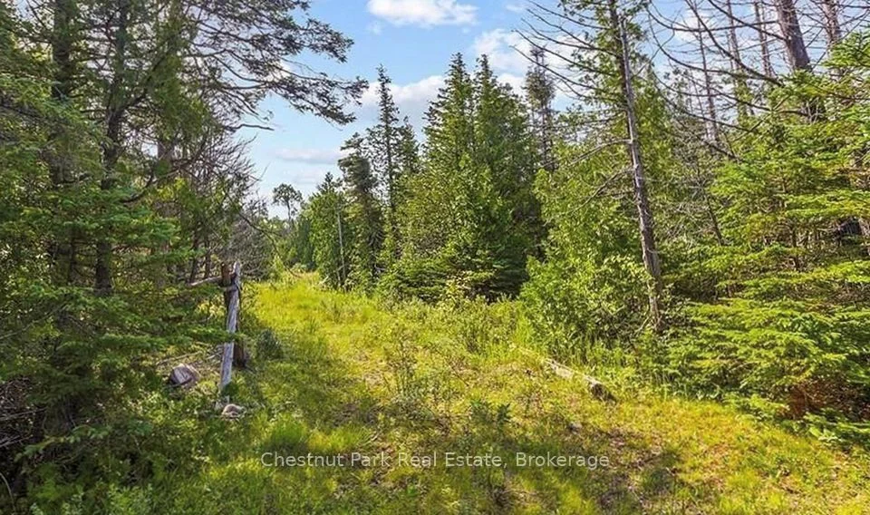 205 EAST Road, Northern Bruce Peninsula, ON N0H 1W0