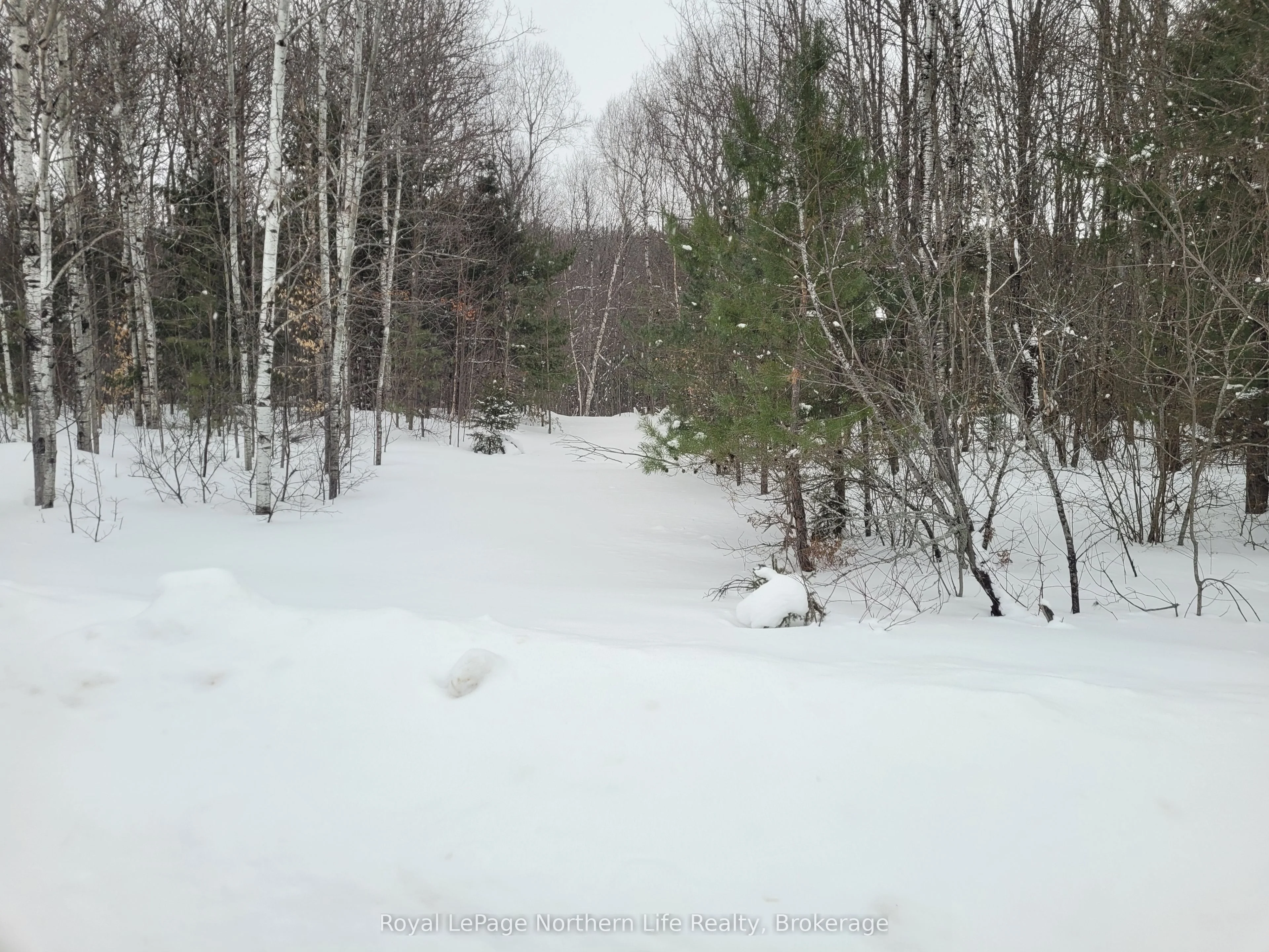 Lt 30 Con 1 Boundary Road, Bonfield, On P0h 1e0