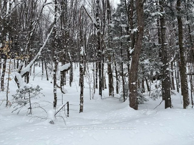 LOT 2 OLD ASPDIN Road, Huntsville, ON P0B 1M0