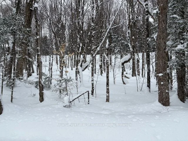 Vacant Land in Huntsville